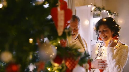 Senior couple decorating Christmas tree with lights
