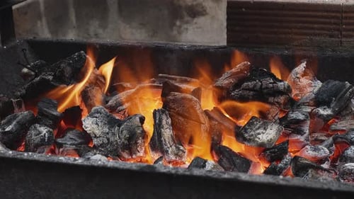 Vival fire flame and burning barbecue coals close up.