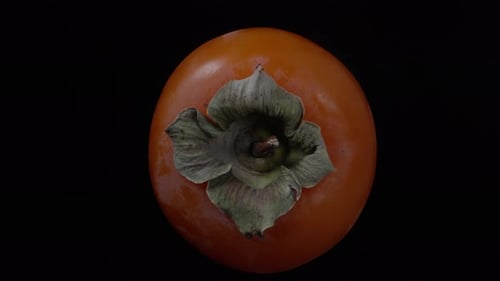 Persimmon rotates on a black background, from shadow to light. top view, close-up.