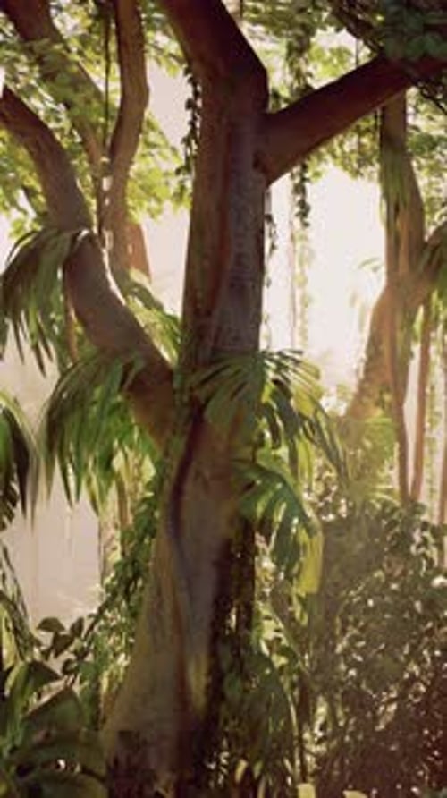 Majestic Tree With Abundant Green Leaves