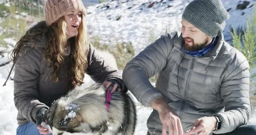 Snow, pets couple playing a game with freedom, adventure or fun on holiday vacation