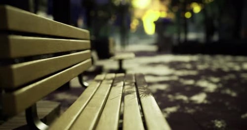 Quiet Park Bench Surrounded By Illuminated Trees at Dusk