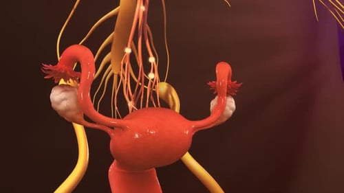 Illustration 3D détaillée de l'anatomie du cerveau humain