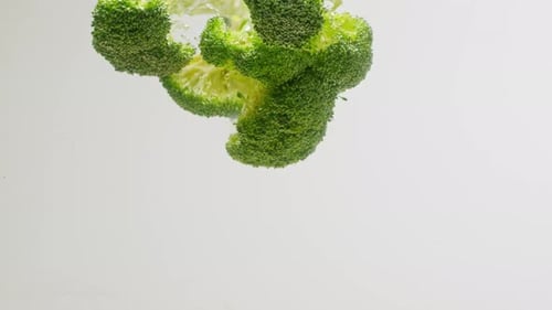 Green Broccoli Falling in Boiling Water Fresh Fruits and Vegetables Falling Splashing Into Water