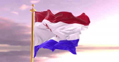 3D Waving Flag Animation with Stylized Emblem