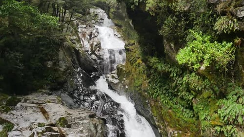 Der Regenwaldwasserfall fließt entlang einer mit Moos und Farnen bedeckten Klippe in einen blauen Pool
