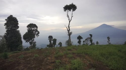 sehr schöne Naturaussichten mit klarem Himmel am Morgen mit Blick auf den Mount Cikuray