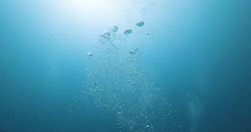 Bubbles Ascend Through the Deep Blue Sea