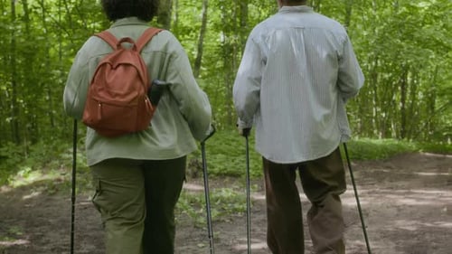 Adult Tourists Choosing Route during Trekking Trip in Forest