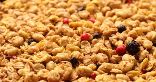 Delicious granola with red and black berries close-up