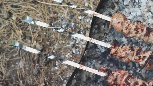 Schaschlikfleisch auf einem Holzkohlegrill beim Sommerpicknick aus nächster Nähe grillen