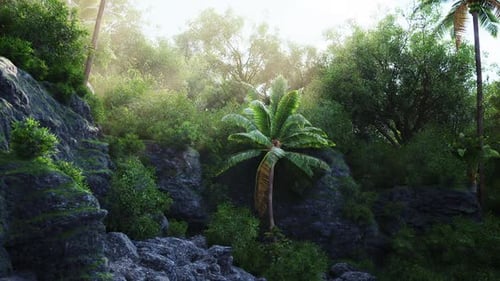 Lush Green Tropical Forest with Gently Swaying Palm Trees