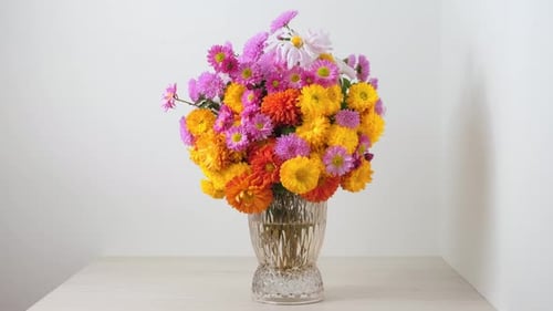 Blumenstrauß auf weißem Hintergrund. Schritt für Schritt Installation von Chrysanthemenblüten in einer Vase