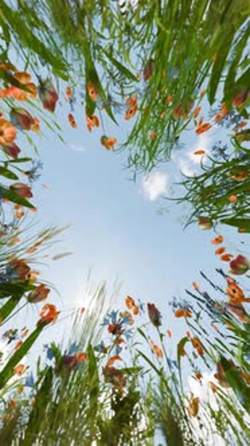 Vertical Video Rotating Flower Meadow 3D Render Seamless Loop Background with Gentle Breeze