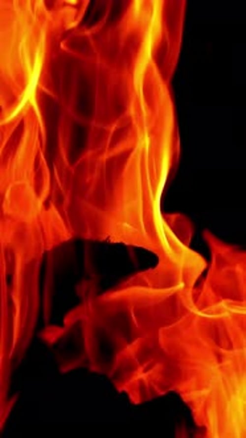 Un feu brûlant. Ralentissement du bois brillant. Des éclaboussures de flammes et des charbons ardents. Vidéo verticale
