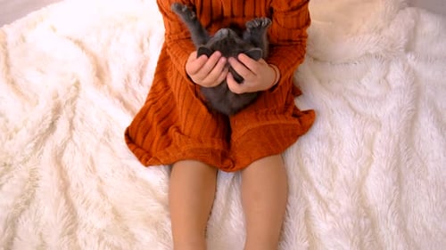 Child Cradles Gray Kitten on Fluffy White Blanket