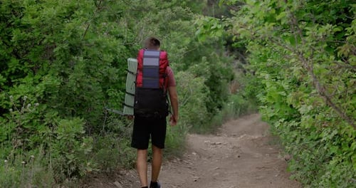 Handsome Male Hiking Through Forest Path with Backpack and Poles Active Lifestyle
