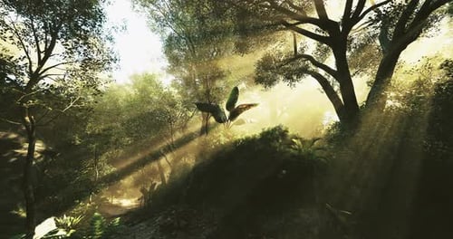 Sunlight Filters Through a Dense Forest in the Early Morning Hours