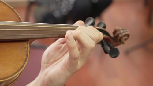 Man Violinist Performing Violins During a Musical Concert on a Classical Theater