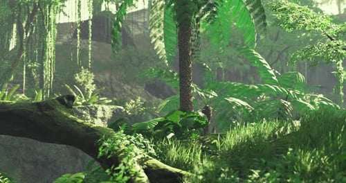 Lush Green Jungle Filled with Vibrant Foliage and Towering Trees in Daylight