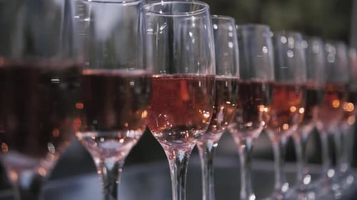 Champagne Glasses Stand in a Row