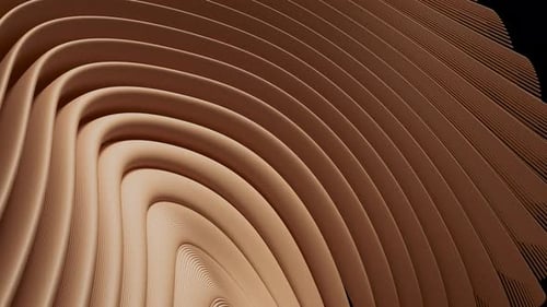 Animation 3D de lignes lisses formant un motif complexe qui remplit le cadre.