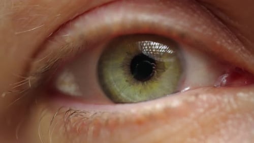 Extreme Close Up of Woman Blinking Beautiful Eye with Green Iris