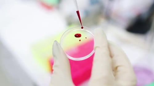 Adding Blood Sample to Petri Dish in Lab