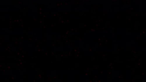 Boucle d'animation 3D à paillettes rouges de Noël. Particules de poussière rouge scintillant sur fond noir. Particules W