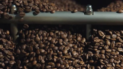 Abundant Roasted Coffee Beans Tumble in Roaster