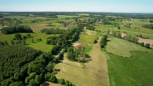 Aerial View of Green Rural Farmland and Forest
