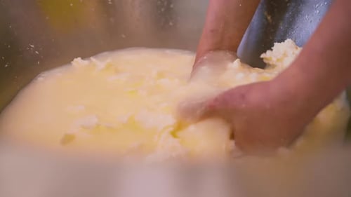 production of dairy cheeses the cheesemaker takes white mozzarella from a metal vat