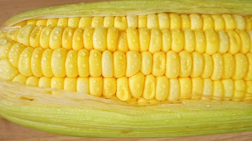 Macro video captures the enchanting beauty of sweetcorn