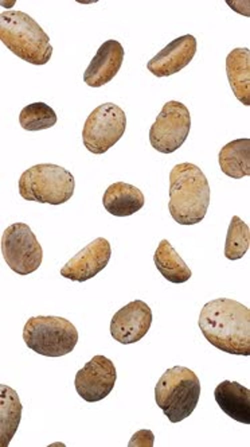 Organic Potatoes Falling Against White Background Seamless Loop
