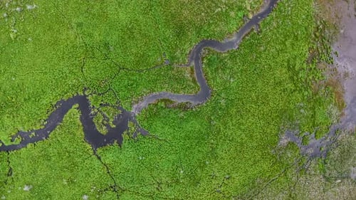 Aerial drone view of a winding river cutting through vibrant green wetland terrain.