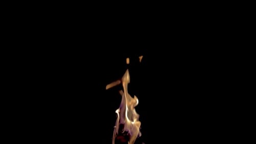 Zeitlupe der Flammen aus Brennholz
