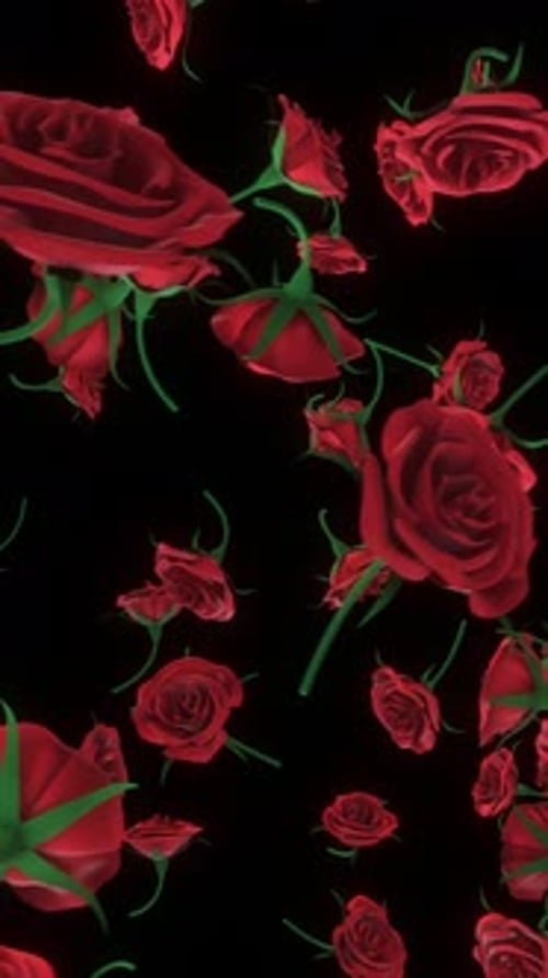 Red Falling Roses On Black Background