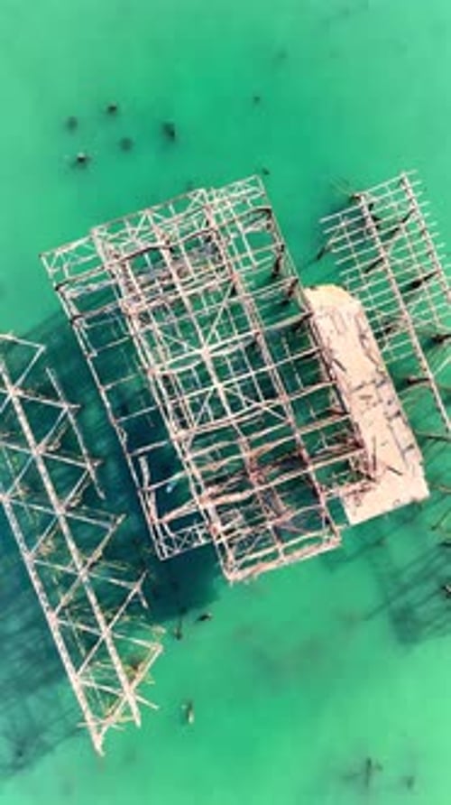 Vertical 4K drone footage of Brighton's West Pier. Paddle boarder is visible underneath remains of p
