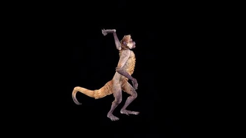 Wild Monkey Attack 2
