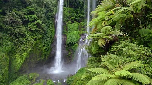 Drone View of Sekumpul Waterfall Surrounded By Tropical Jungle in Bali Indonesia