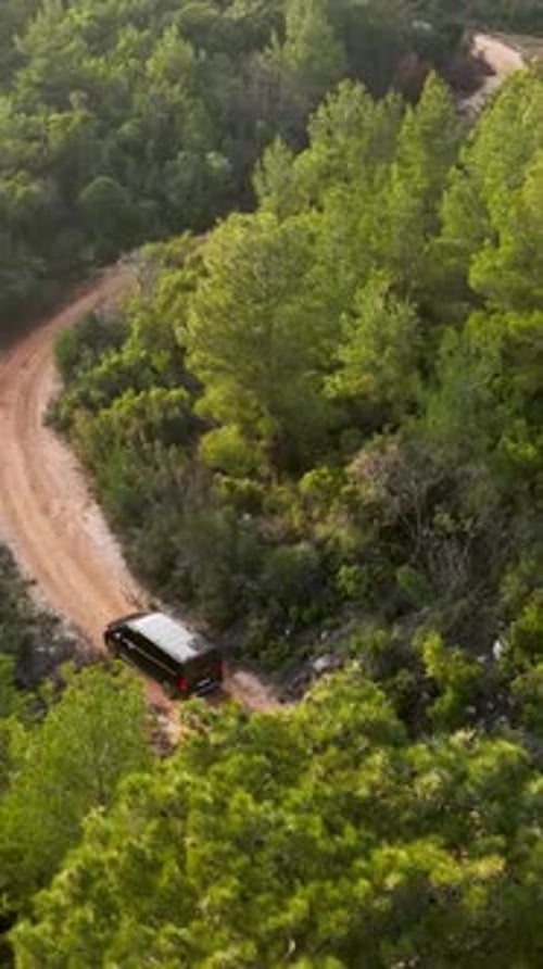 Vídeo vertical: majestuosa vista aérea, lujoso automóvil y el místico Zumbido Cinemática del bosque verde