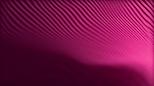 Flowing Abstract Magenta Lines Loop Background