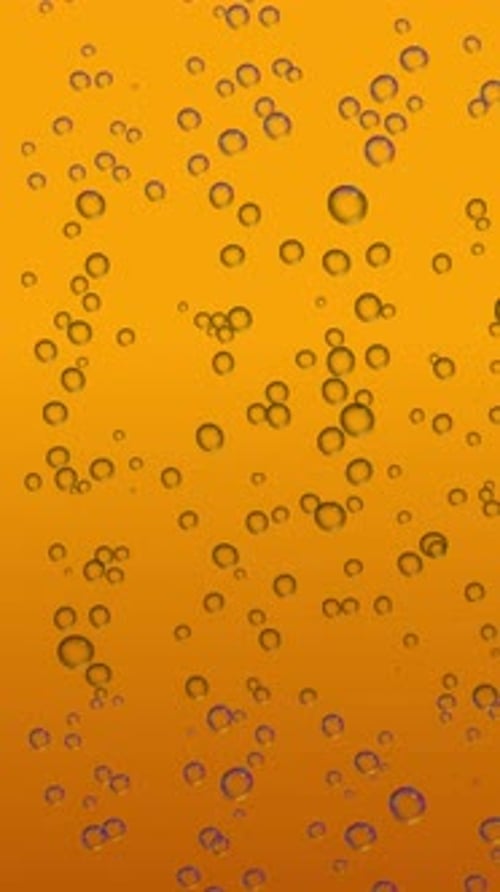 Beer Bubbles Rising in Golden Liquid Macro Closeup Background