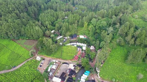 Green Tea Plantation Bandung