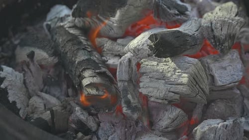 Burning Charcoal Close-Up Shot