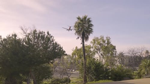 Passenger Plane Flying Low Over Lush Park Trees