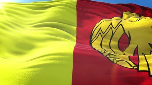 Waving Flag With Stylized Eagle Emblem