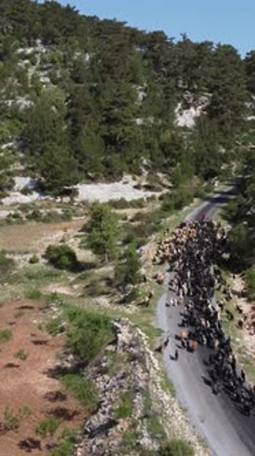 Goat Herder Road
