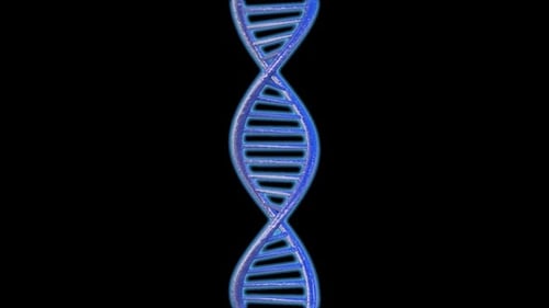 Stylized blue DNA double helix illustration