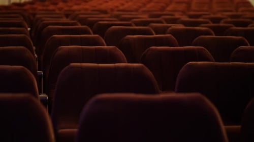 Row of Empty Spectator Chairs with Raised Seats in an Empty Auditorium